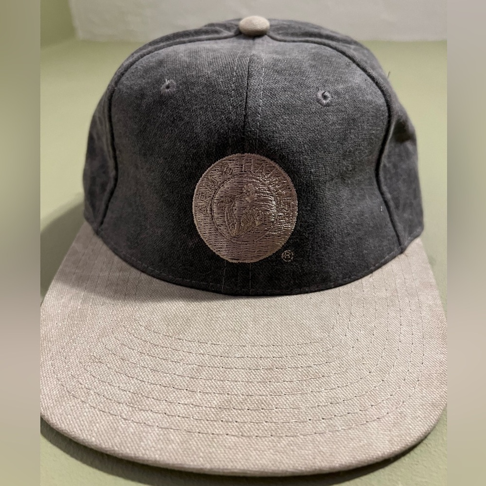 Vintage Arm & Hammer Hat
